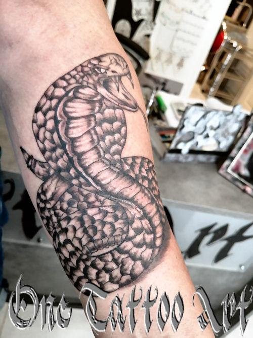 cobra tattoo - one tattoo art