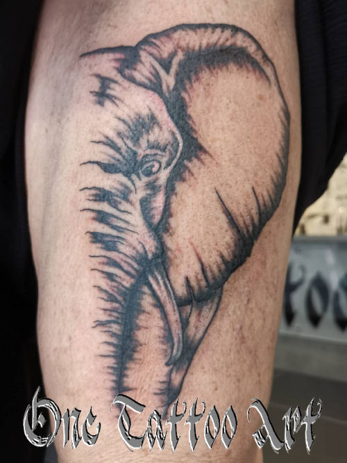 one tattoo art - éléphant tattoo